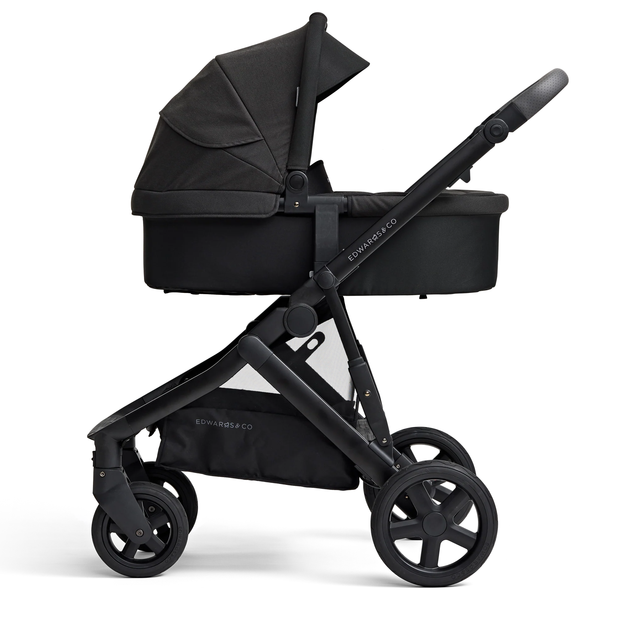 Olive - Image 5