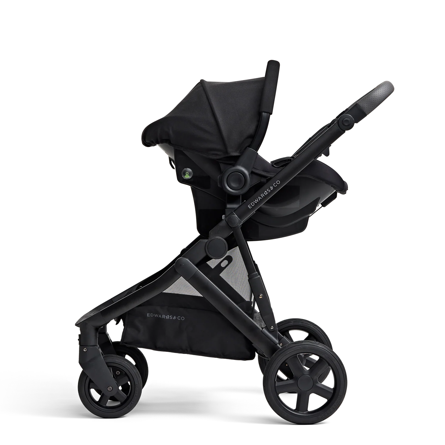 Olive - Image 6