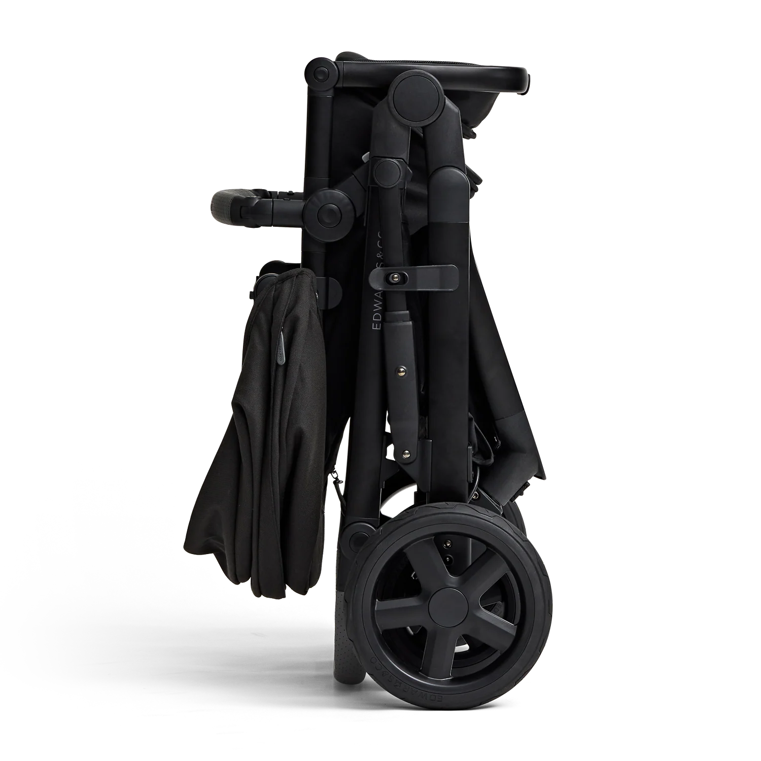 Olive - Image 8